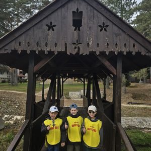 DIVČIBARE NA DLANU (11)