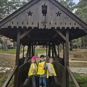 DIVČIBARE NA DLANU (14)