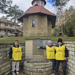 DIVČIBARE NA DLANU (20)