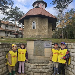 DIVČIBARE NA DLANU (23)