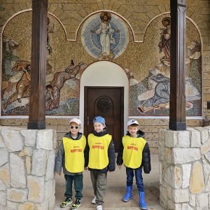 DIVČIBARE NA DLANU (25)