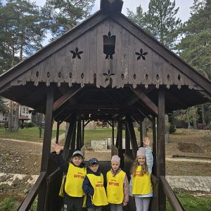 DIVČIBARE NA DLANU (27)