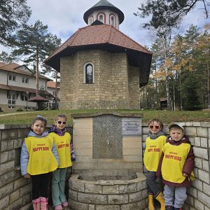 DIVČIBARE NA DLANU (31)