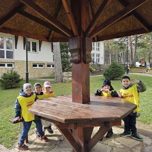 DIVČIBARE NA DLANU (36)