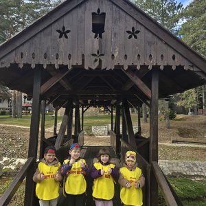 DIVČIBARE NA DLANU (37)