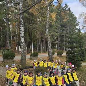 DIVČIBARE NA DLANU (41)