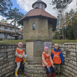 DIVČIBARE NA DLANU (49)