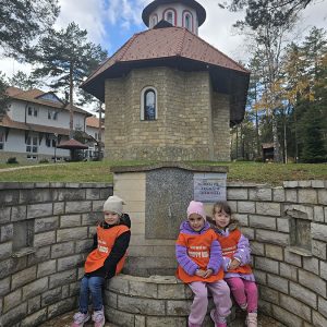 DIVČIBARE NA DLANU (51)