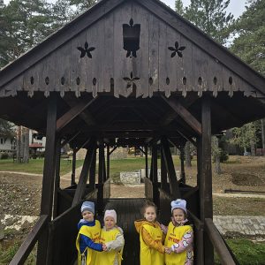 DIVČIBARE NA DLANU (6)