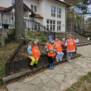 DIVČIBARE NA DLANU (61)