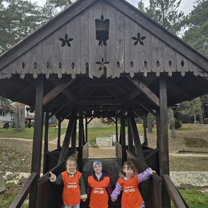 DIVČIBARE NA DLANU (62)