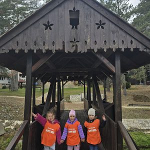 DIVČIBARE NA DLANU (65)