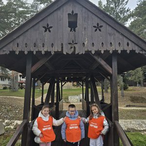 DIVČIBARE NA DLANU (68)