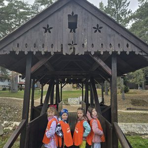 DIVČIBARE NA DLANU (79)