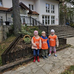 DIVČIBARE NA DLANU (80)