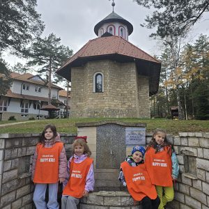 DIVČIBARE NA DLANU (81)