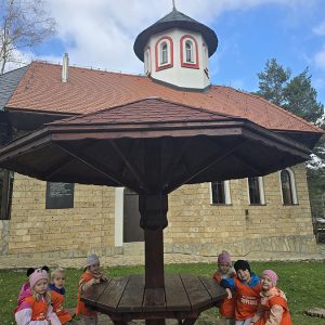 DIVČIBARE NA DLANU (84)