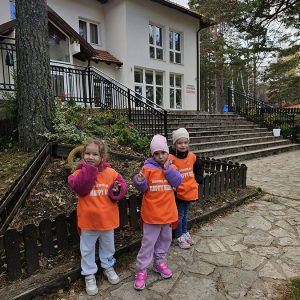 DIVČIBARE NA DLANU (86)