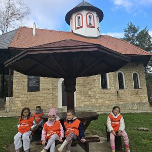 DIVČIBARE NA DLANU (88)