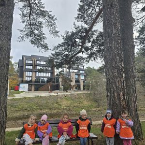 DIVČIBARE NA DLANU (90)