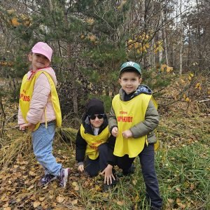 KRALJEVSKI KORACI KROZ ĆAROBNU ŠUMU (10)