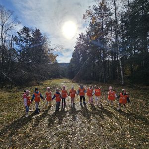 KRALJEVSKI KORACI KROZ ĆAROBNU ŠUMU (50)