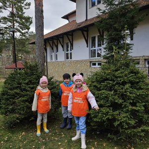 KRALJEVSKI KORACI KROZ ĆAROBNU ŠUMU (67)