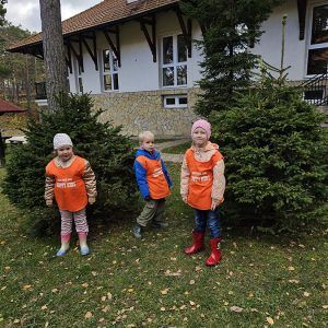 KRALJEVSKI KORACI KROZ ĆAROBNU ŠUMU (68)