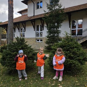 KRALJEVSKI KORACI KROZ ĆAROBNU ŠUMU (69)