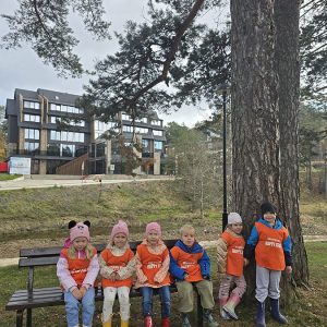 KRALJEVSKI KORACI KROZ ĆAROBNU ŠUMU (71)