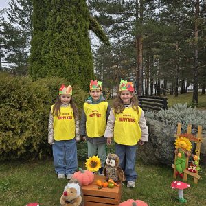 MIR, RADOST I HARMONIJA BORAVKA U PRIRODI (21)