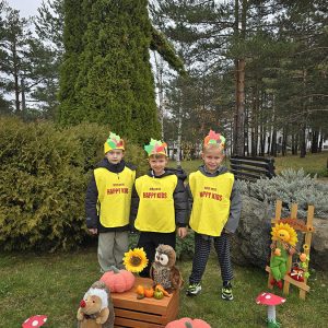 MIR, RADOST I HARMONIJA BORAVKA U PRIRODI (23)