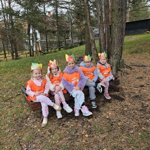 MIR, RADOST I HARMONIJA BORAVKA U PRIRODI (57)