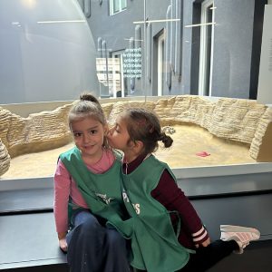 PALATA NAUKE HK5 (20)