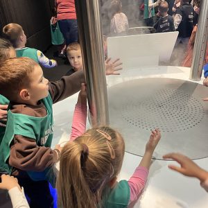 PALATA NAUKE HK5 (26)