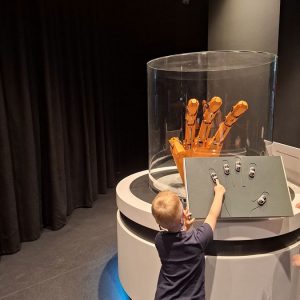 PALATA NAUKE HK9 (16)