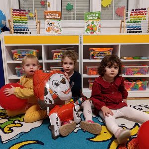 PATROLNE ŠAPE HK1 (12)