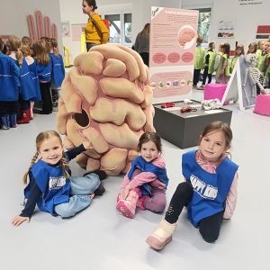 ZNANJE POD LUPOM HK4 (35)