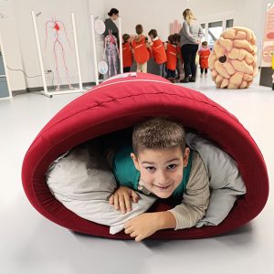 ZNANJE POD LUPOM HK5 (3)