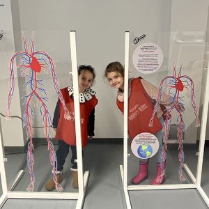 ZNANJE POD LUPOM HK6 (35)