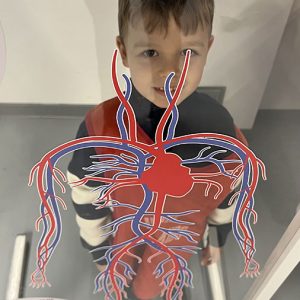 ZNANJE POD LUPOM HK6 (5)