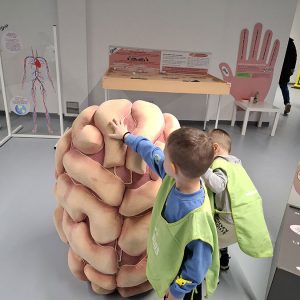 ZNANJE POD LUPOM HK9 (29)