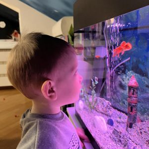 MISS I MISTER MASKENBALA HK9 (27)