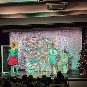 PAN TEATAR SNEŽNA KRALJICA HK9 (8)