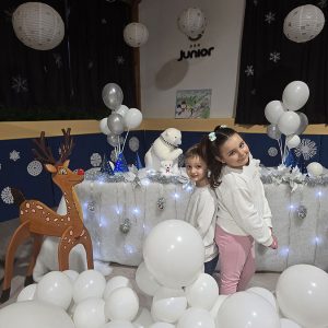 SNEŽNA OLIMPIJADA (3)