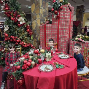 SVEČANA PARADA MALIH ZVEZDA (2)