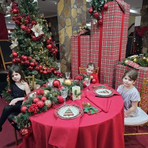 SVEČANA PARADA MALIH ZVEZDA (69)