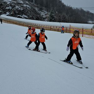 TRAGOVI U SNEGU, USPOMENE U SRCU (11)