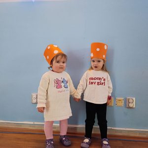 ZIMSKA BAJKA POD ZVEZDAMA HK7 (11)