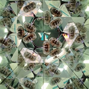 MUZEJ ILUZIJA HK7 (57)